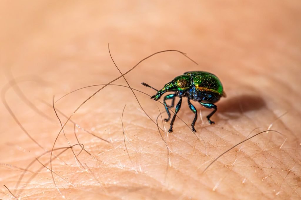 Crafting Captivating Headlines: Your awesome post title goes here Close-up of a green beetle on human skin, showing insect anatomy in detail.